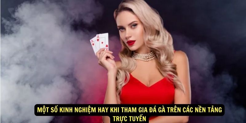 Một số kinh nghiệm hay khi tham gia đá gà trên các nền tảng trực tuyến